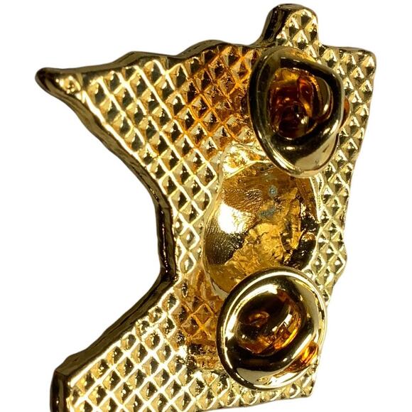 Vintage Lions Club International Racoon Pin, District 5M7 Minnesota 1997-1998 - Picture 4 of 4